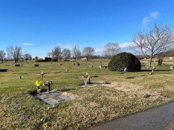 3 adjacent plots in a Great Location!