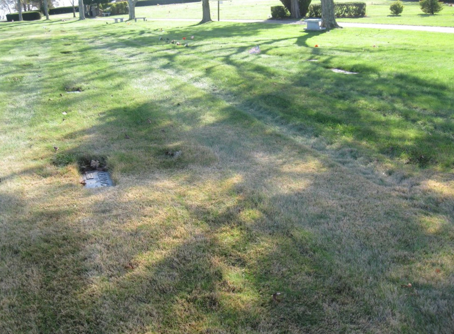Four plots in a beautiful part of the cemetery